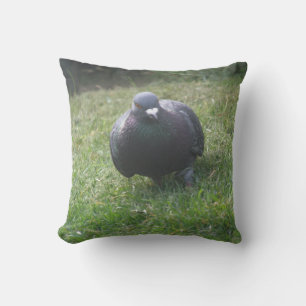 Poster le Coussin Pigeon