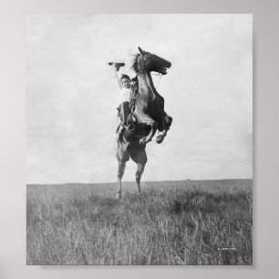 Poster Le cowboy monte Bronco