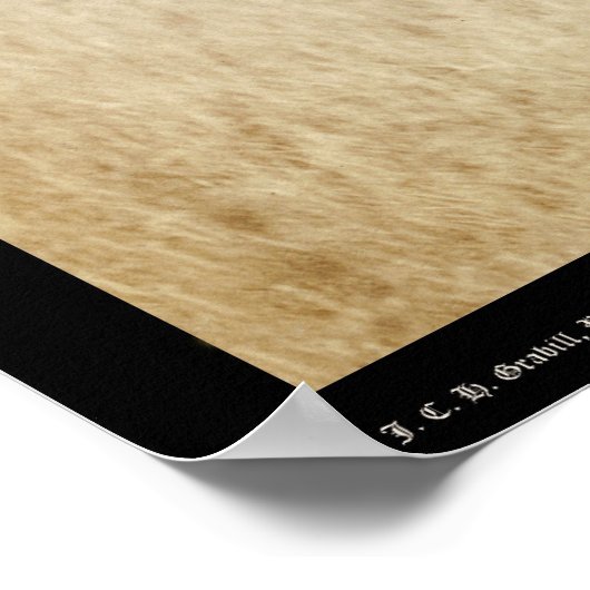 Poster Le Cowboy SD 1887 (Coin)