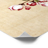 Poster Le Crabappé et le Magnolia Fine Art (Coin)