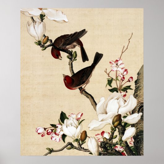 Poster Le Crabappé et le Magnolia Fine Art (Devant)