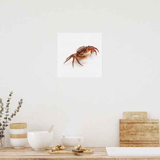 Poster Le crabe de chasse (Cuisine)