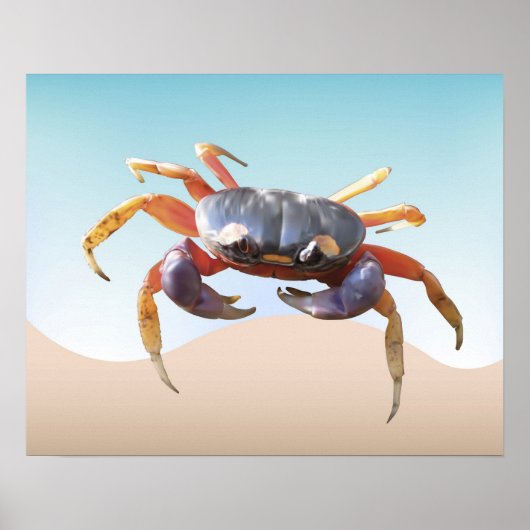 Poster Le crabe sur la plage (Devant)
