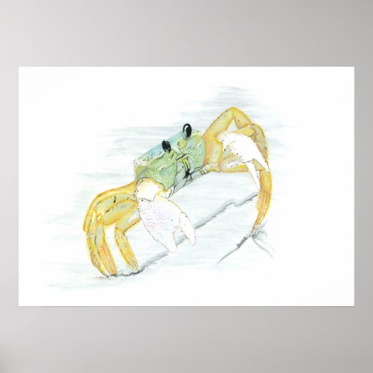 Poster Le crabe sur la plage (Devant)