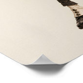 Poster Le Crapaud Tricheur (Coin)