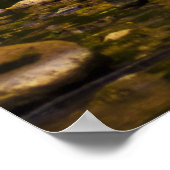 Poster Le Creek (Coin)