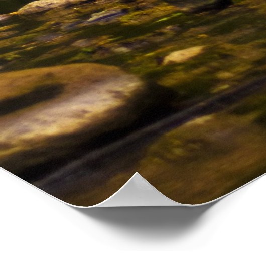 Poster Le Creek (Coin)