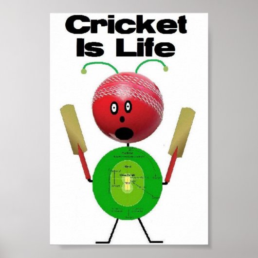 Poster Le cricket est la vie (Devant)