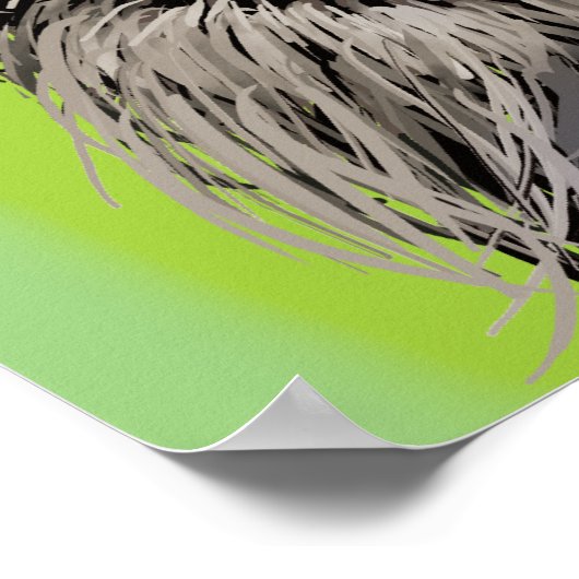 Poster Le curieux Schnauzer (Coin)