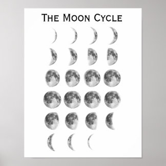 Poster Le cycle de la lune