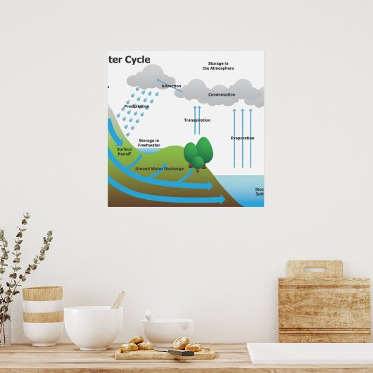 Poster Le cycle de l'eau (Cuisine)