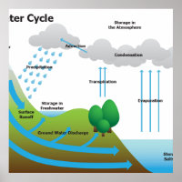 Le cycle de l'eau