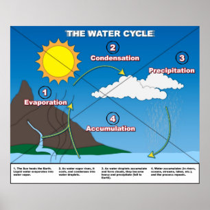 Poster Le cycle de l'eau