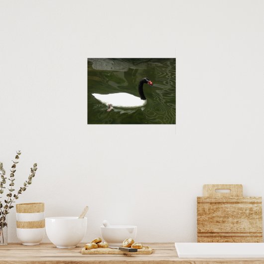 Poster Le cygne blanc (Cuisine)