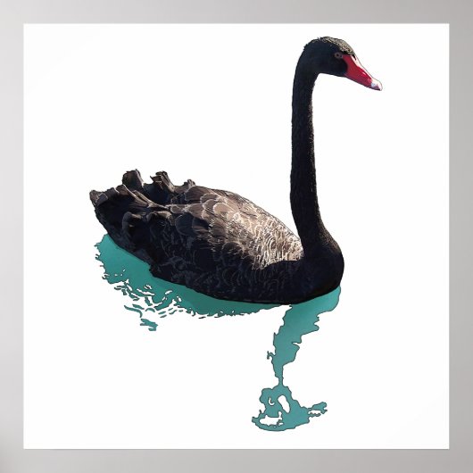 Poster Le cygne noir (Devant)