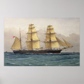 Poster Le cygne sauvage, 1906 (Devant)