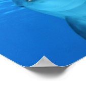 Poster Le dauphin face proche (Coin)