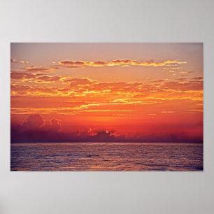 Poster Le dauphin saute au lever du soleil