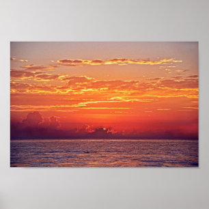 Poster Le dauphin saute au lever du soleil