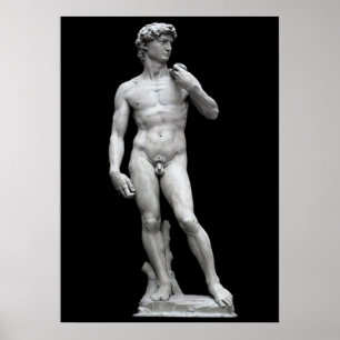 POSTER LE DAVID