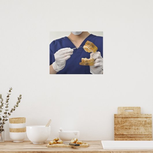 Poster Le dentiste a expliqué avec un modèle dentaire (Cuisine)