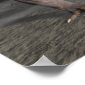 Poster Le Dernier (Coin)