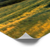 Poster Le Dernier socle (Coin)