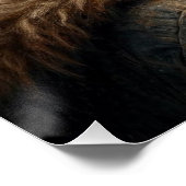 Poster Le Dernier vol de Butterfly (Coin)