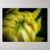 Poster Le déroulement (Devant)