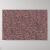 Poster Le désert algérien (Devant)