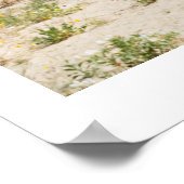 Poster Le désert d'Anza Borrego (Coin)