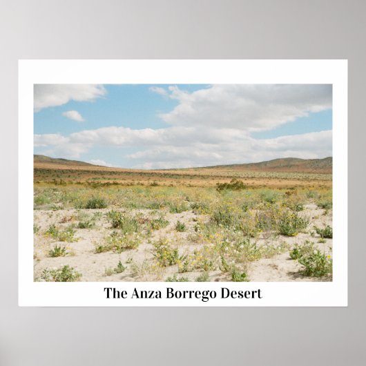Poster Le désert d'Anza Borrego (Devant)
