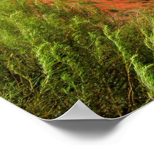 Poster Le désert peint (Coin)