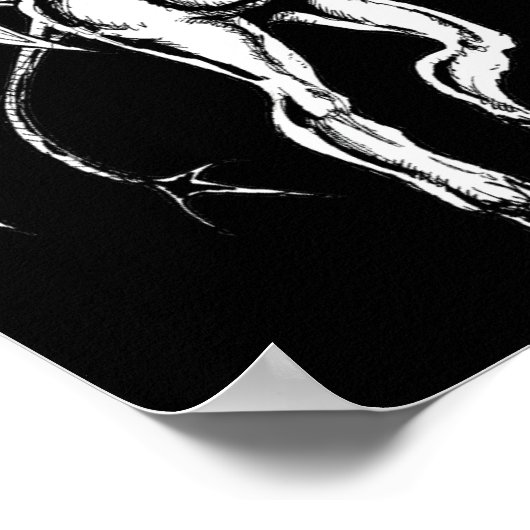 Poster Le diable du Jersey (Coin)