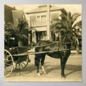 Poster Le dimanche (Devant)