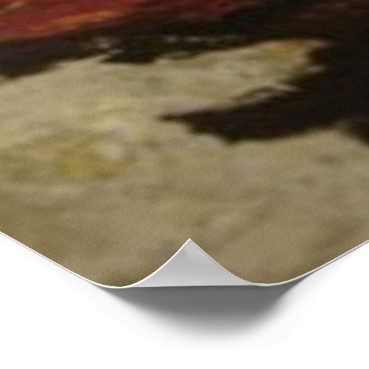 Poster Le double bouddha (Coin)