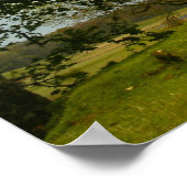 Poster Le Douglas noir (Coin)