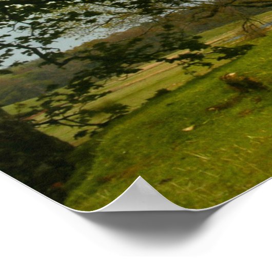 Poster Le Douglas noir (Coin)