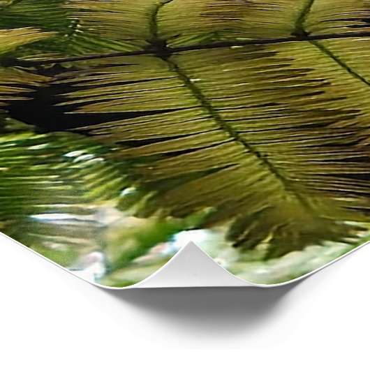 Poster Le doux conquiert le dur (Coin)