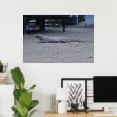 Poster Le dragon de Komodo (Bureau à domicile)