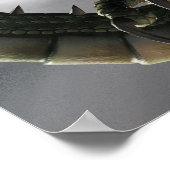 Poster Le dragon et la sorcière (Coin)