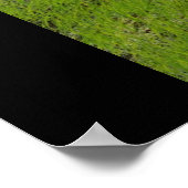 Poster Le dragon Mage (Coin)