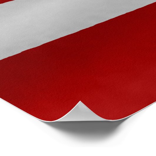 Poster Le drapeau des États-Unis d'Amérique (Coin)