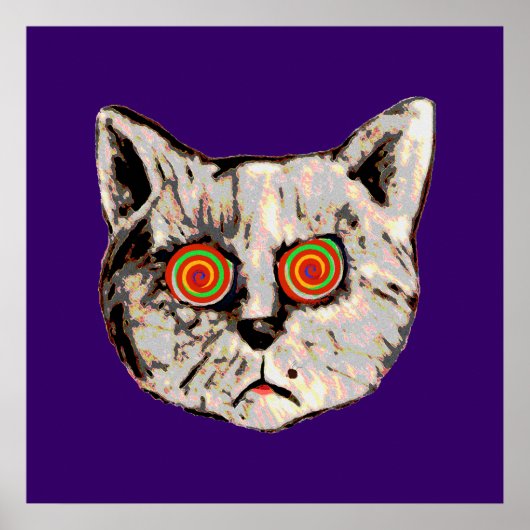 Poster le drôle de chat fou (Devant)