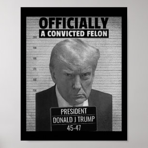 Poster Le Drôle Président Trump Est Officiellement Une Fé