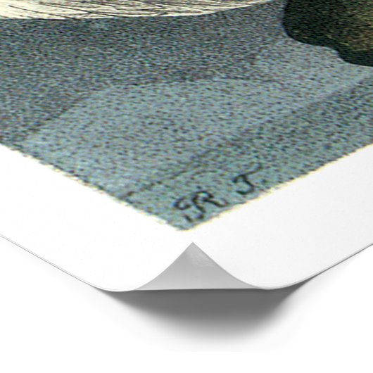 Poster Le faucon glauque d'Audubon (Coin)