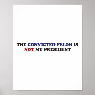 Poster Le Felon Condamné N'Est Pas Mon Président Funny Po