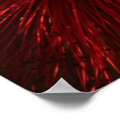 Poster Le feu d'artifice de la nature (Coin)