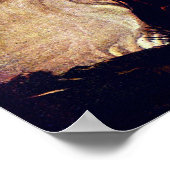 Poster Le feu de Brunhilde (Coin)