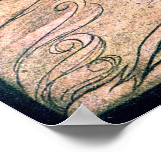 Poster Le feu de Brunhilde 2 (Coin)